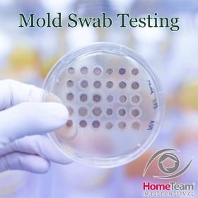 Picture of mold swab testing